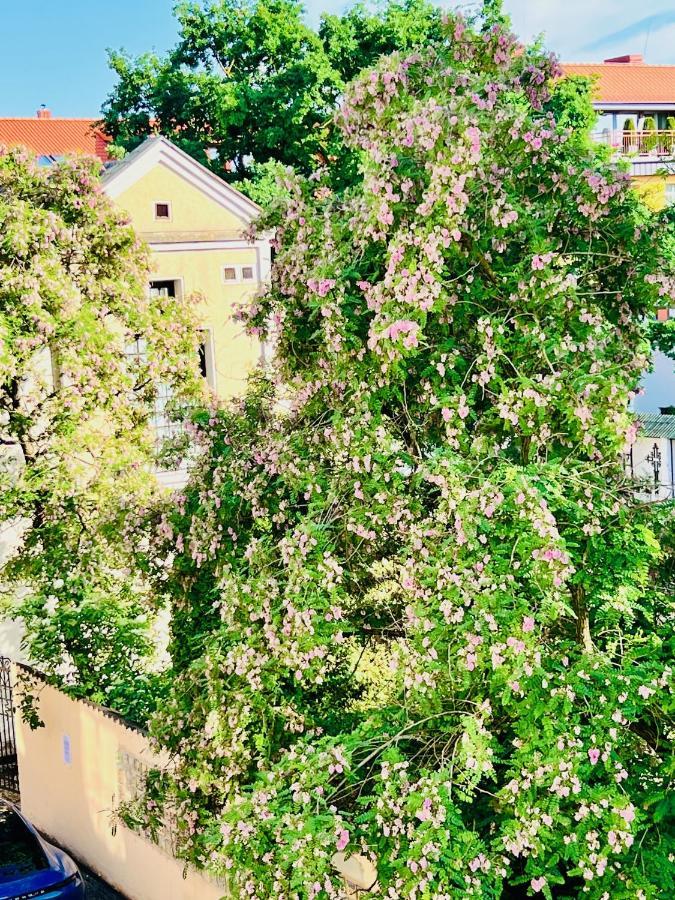 Super Apartment Old Town Κλαϊπέντα Εξωτερικό φωτογραφία